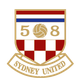 悉尼大学U20 Logo