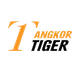 安格科尔老虎FC Logo