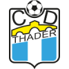 泰德尔 Logo