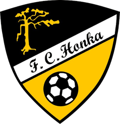 汉卡女足B队 Logo
