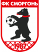 斯莫根女足 Logo
