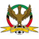 圣基茨及尼维斯女足U20 Logo