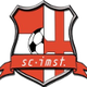 伊姆斯特 Logo