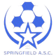 斯普林菲尔德ASC Logo