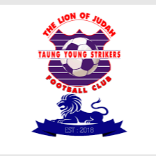 东扬前锋 Logo