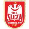 斯莱扎女足 Logo