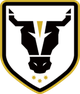 公牛学院女足 Logo