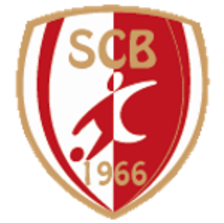 博库泽U19 Logo