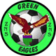 绿鹰 Logo