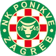 NK波尼科夫 Logo