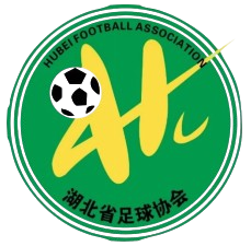 湖北足协U15 Logo