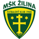 斯尼纳U19 Logo