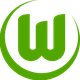 沃尔夫斯堡U19 Logo