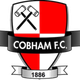 科巴姆 Logo