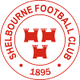 舒尔本U19 Logo