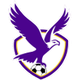 布伦达拉鹰女足 Logo
