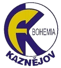 卡兹涅约夫 Logo
