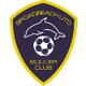 布罗德海滩联合女足 Logo