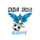 蓝鸟FC Logo
