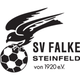 施泰因费尔德 Logo