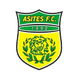 西提斯 Logo