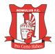 罗穆陆斯 Logo