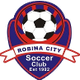 罗宾市蓝 Logo