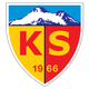 开塞利体育 Logo