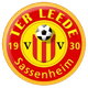 特尔里德女足 Logo