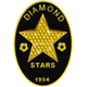 钻石星尘 Logo