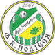 波利西亚U19 Logo