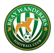 布雷U19 Logo
