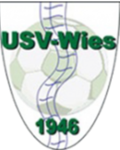 怀斯 Logo
