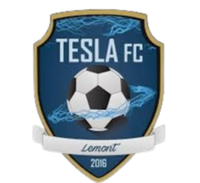 FC特斯拉 Logo
