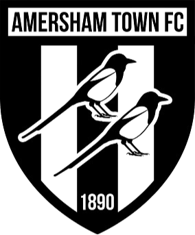 阿默舍姆镇 Logo
