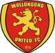 卧龙岗联 Logo