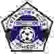 纳索华 Logo
