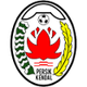 佩西克肯德尔 Logo