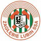 路賓U19 Logo