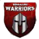 班加罗尔勇士 Logo
