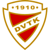 迪欧斯捷尔DVTK B队 Logo