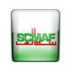 斯卡哈迪德 Logo