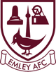 埃姆利AFC Logo