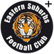 NPL伊斯特恩沙伯女足 Logo