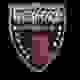 韦克斯福德U19 Logo