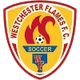 温彻斯特火焰女足 Logo