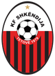 斯肯迪亚女足 Logo