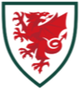 威尔士女足 Logo