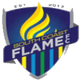 南海岸火焰 Logo