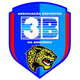3B体育AM女足 Logo